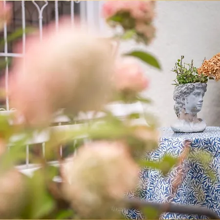 Haus Mertin Whg 1 Seestern Apartment *